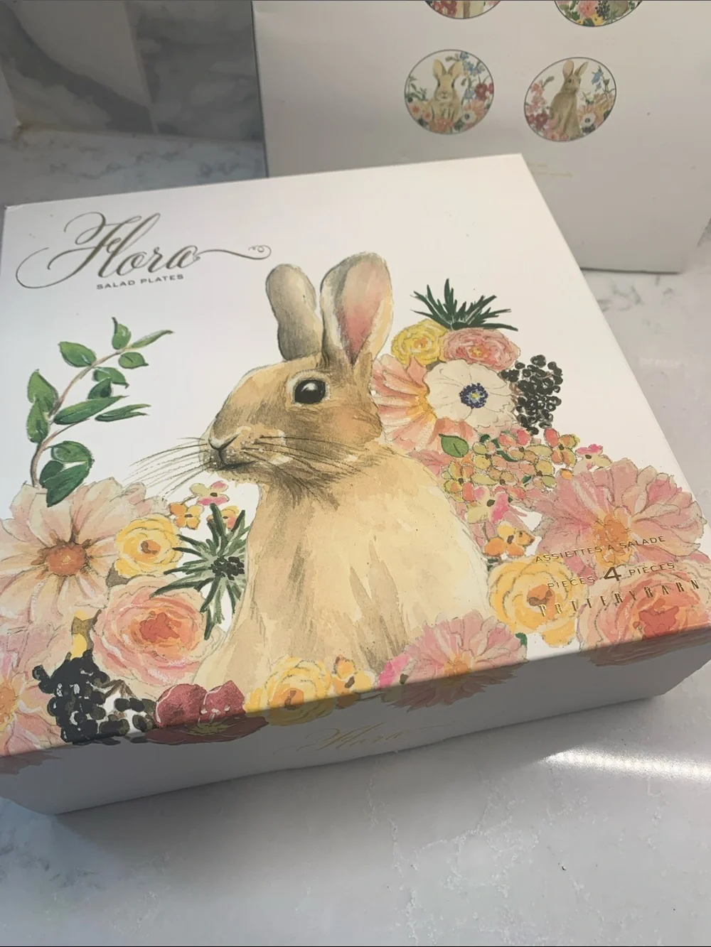 NEW Flora Pottery Barn Easter Rabbit Bunny Floral Salad 8” Plates Set of 4
